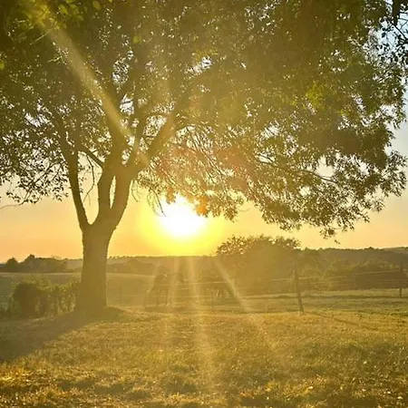 Nyaraló Gite Sivade Maison Artiste Jardin Cloture *