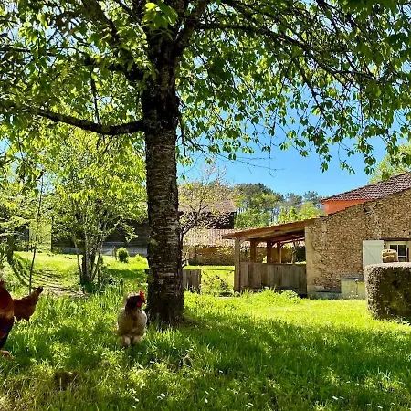 Nyaraló Gite Sivade Maison Artiste Jardin Cloture Capdrot