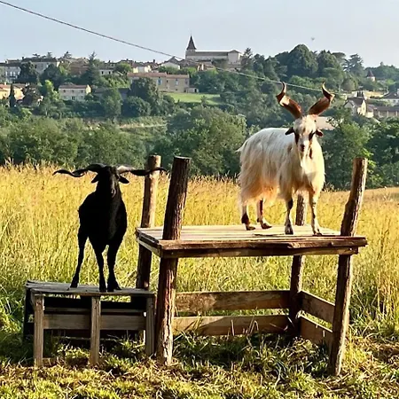 Pour 2 - Jardin Clôturé - Grande Terrasse Couverte * Capdrot