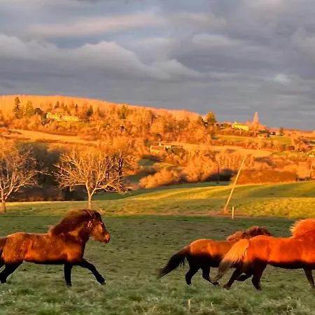 Pour 2 - Jardin Clôturé - Grande Terrasse Couverte *