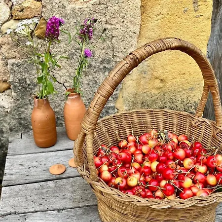 Pour 2 - Jardin Clôturé - Grande Terrasse Couverte * Capdrot