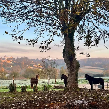 Pour 2 - Jardin Clôturé - Grande Terrasse Couverte Casa vacanze Capdrot
