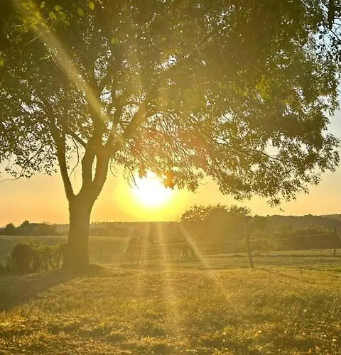 Дом отдыха Pour 2 - Jardin Cloture - Grande Terrasse Couverte *