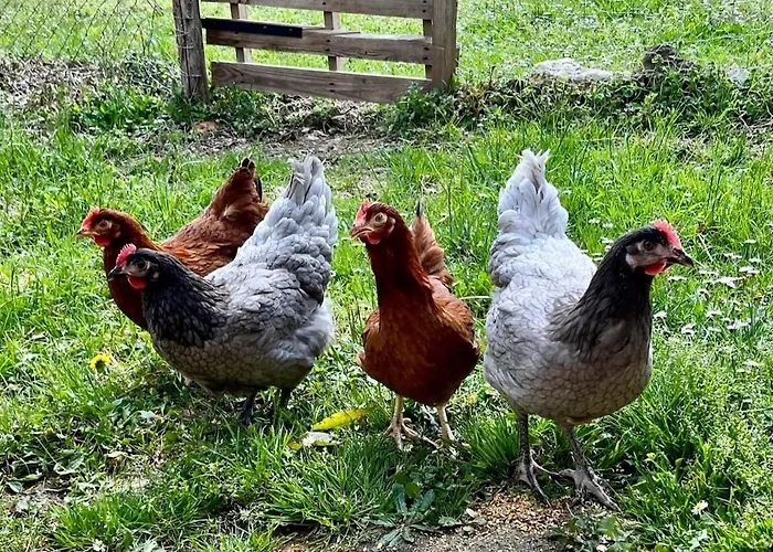 Pour 2 - Jardin Cloture - Grande Terrasse Couverte Дом отдыха *