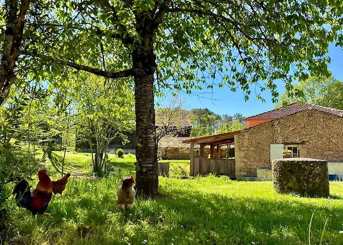 Дом отдыха Pour 2 - Jardin Cloture - Grande Terrasse Couverte Capdrot