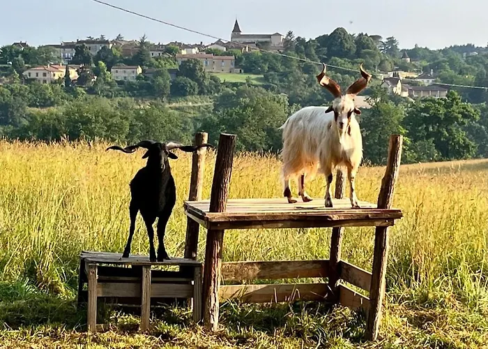 Pour 2 - Jardin Cloture - Grande Terrasse Couverte * Capdrot