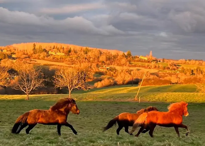 Pour 2 - Jardin Cloture - Grande Terrasse Couverte *