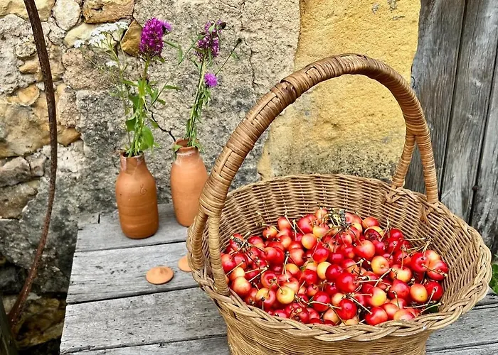 Pour 2 - Jardin Cloture - Grande Terrasse Couverte * Capdrot
