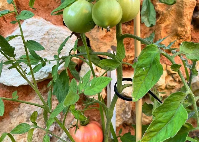 Pour 2 - Jardin Cloture - Grande Terrasse Couverte *